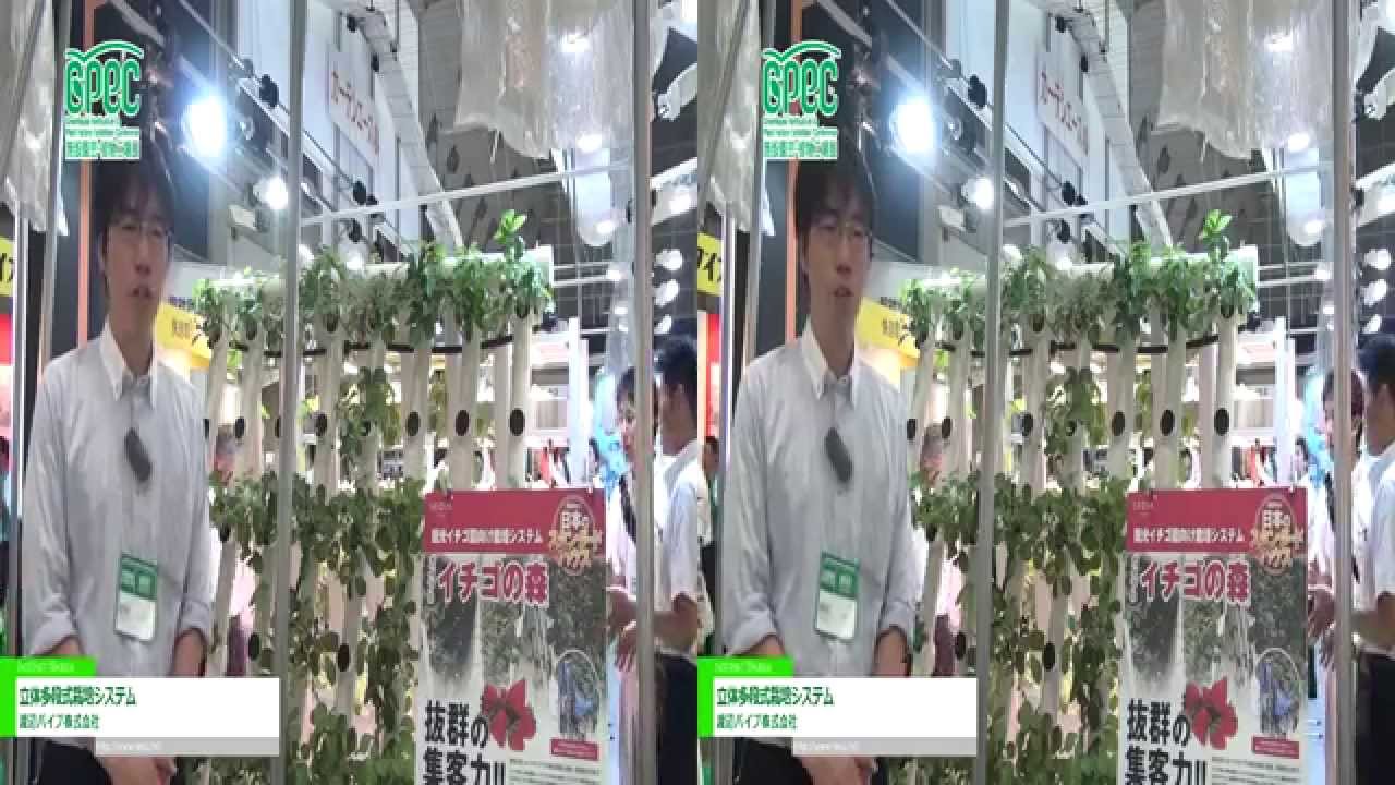 [3D] 立体多段式栽培システム「ガイアイチゴの森」 – 渡辺パイプ株式会社