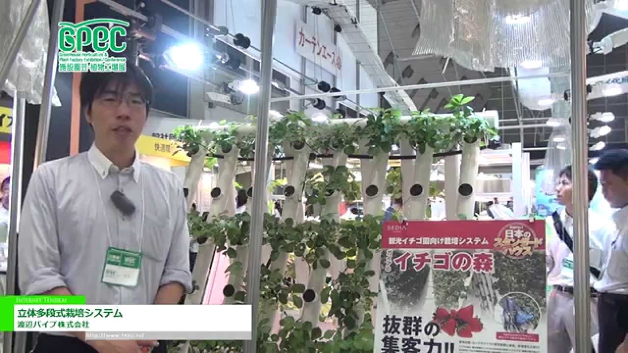[施設園芸・植物工場展(GPEC) 2014] 立体多段式栽培システム「ガイアイチゴの森」 – 渡辺パイプ株式会社