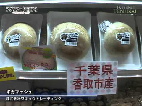 [アグリフードEXPO 東京2011] ギガマッシュ – ワキュウトレーディング