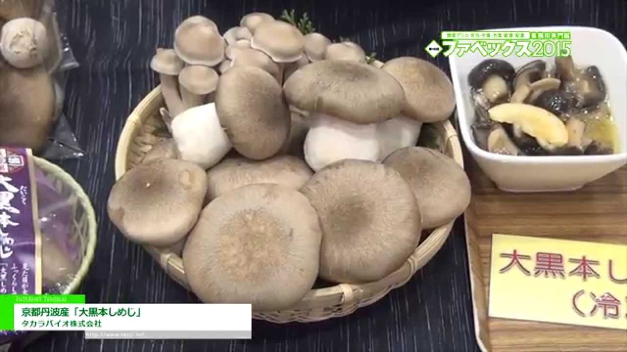 [ファベックス 2015] 京都丹波産「大黒本しめじ」 – タカラバイオ株式会社