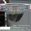 [Cofee Expo Seoul 2018] ネルドリップ風コーヒーフィルター「Fedona Hand Drip Filter」 – Fedora (Coffee N Do)