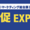 sp-world_2019_banner