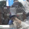 [メンテナンス・レジリエンス 2019] FRT工法 – 農業用水路トンネル機能回復技術研究会