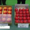 [アグロ・イノベーション 2019] 生分解＆鮮度保持袋「アピノンキーパー」 – モアディバイス株式会社
