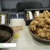 [ASTI-Show 2021] Food from Cheongju - 티카페 알케미