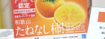 [DIET & BEAUTY FAIR 2021] 和歌山のたねなし柿 - 和歌山県農業協同組合連合会