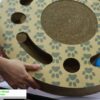 [Pet Expo Thailand 2021] Interactive Scratch Wheel - Carton Connection