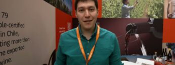 maxresdefault-34.jpg