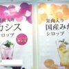 [FOOD STYLE Japan 2022] こだわりの果肉入りシロップ - フードインパクト株式会社