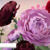 Video thumbnail for youtube video 09-fdscym-m
