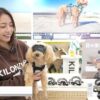 Video thumbnail for youtube video nsivdhm0aow
