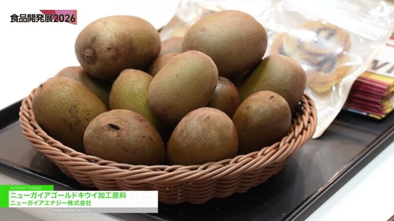 ニューガイアゴールドキウイ加工原料 - ニューガイアエナジー株式会社 [食品開発展 2026（Hi Japan/ FiT Japan/ S-tec Japan/ LL Japan）]