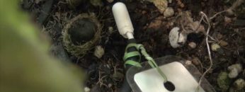 [GPEC 2016] 温室内環境遠隔モニタリングシステム「みどりクラウド」 – 株式会社セラク