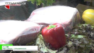 [第11回 アグリフードEXPO 東京 2016] ハーブ豚 – 伊藤ハム株式会社 / 日清丸紅飼料株式会社