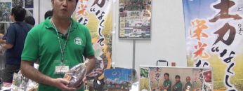 [第11回 アグリフードEXPO 東京 2016] Premium紅はるか「おはるちゃん」 – 野菜ソムリエ農家「のはら」