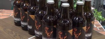 [第11回 アグリフードEXPO 東京 2016] ノンアルコールビール×エナジードリンク「HI-OC ENERGY」 – Yenforex株式会社