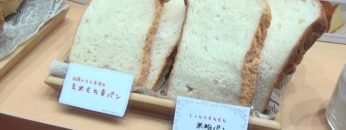 [パティスリー＆ブーランジェリージャパンワールド 2016] もちむぎ粉 – みたけ食品工業株式会社