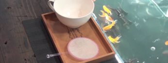 [JAPAN DIY HOMECENTER SHOW 2016] ジャペルのプロデュース「金魚すくい」 – ジャペル株式会社