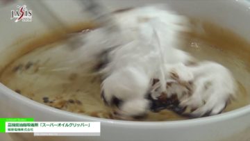 [JASIS 2016] 高機能油脂吸着剤「スーパーオイルグリッパー」 – 篠原電機株式会社