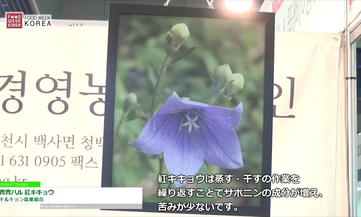 [Food Week Korea 2016] 青青ハル 紅キキョウ – キルキョン農業組合