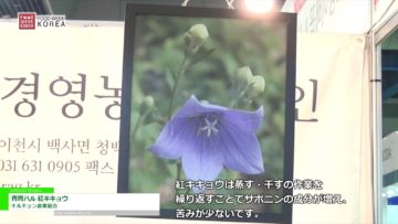 [Food Week Korea 2016] 青青ハル 紅キキョウ – キルキョン農業組合