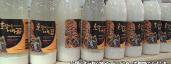 [Food Week Korea 2016] ホランイ・ベコブ 虎のヘソ生マッコリ – ホランイ・ベコブ