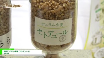 [パティスリー＆ブーランジェリージャパンワールド 2017] 国産デュラム小麦種「セトデュール」 – 農研機構