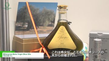 [オリーブオイル関西国際展 2017] Millenarian Extra Virgin Olive Oils – Oleomile S.L.