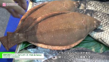 [SIPREMIUM 2018] 新鮮な魚クッション＆ペンケース「Fish & Fancy」 – MONSTER COMMERCE