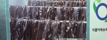 [FoodWeekKorea 2018] 天然昆布タブレット「莞島金日ジャンド昆布」 – Jangdo Foods