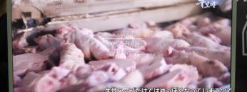 [FoodWeekKorea 2018] 牛骨スープの素朴で深い味わい「ムボカクッパ」 – ダダム