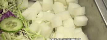 [FoodWeekKorea 2018] フードスライサー「菜高(チェゴヤ)500SP」 – HWA JIN PRECISION CO., LTD.