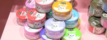 [Interpets 2019] ウェットフード「KitCat ゴートミルク」 – グローバル ペット ニュートリション株式会社