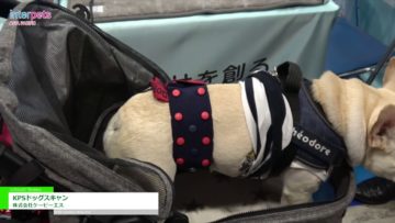 [Interpets 2019] ワンちゃんの健康とキモチを予測「KPSドッグスキャン」 – 株式会社ケーピーエス