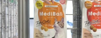 [Interpets 2019] ペットのための投薬補助おやつ「MediBall」 – 株式会社ジャパンペットコミュニケーションズ