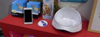 [Interpets 2019] PET BLE（ペットブル） – Suga Japan 株式会社