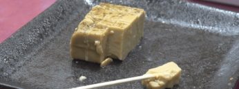 [ファベックス 2019] 土佐伝承豆腐「百一珍」 – 株式会社タナカショク