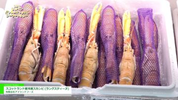 [第21回 ジャパン・インターナショナル・シーフードショー] スコットランド産冷凍スカンピ (ラングスティーヌ) – 有限会社アイランドフーズ