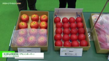 [アグロ・イノベーション 2019] 生分解＆鮮度保持袋「アピノンキーパー」 – モアディバイス株式会社
