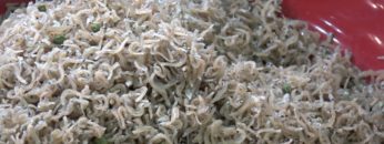 [第54回スーパーマーケット・トレードショー2020] ちりめん山椒 – 株式会社伍八山椒堂