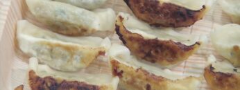 [第55回スーパーマーケット・トレードショー（SMTS）2021] オーガニックベジ餃子 － 美勢商事株式会社