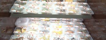 [FOOMA JAPAN 2021] LC PACKシステム – 株式会社日阪製作所