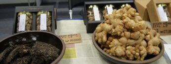 [ASTI-Show 2021] Food from Cheongju - 티카페 알케미