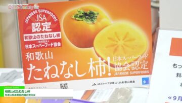[DIET & BEAUTY FAIR 2021] 和歌山のたねなし柿 - 和歌山県農業協同組合連合会