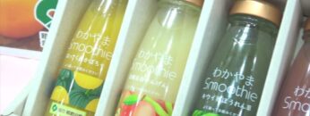 [DIET & BEAUTY FAIR 2021] わかやまスムージー - 株式会社ふみこ農園