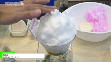 [DIET & BEAUTY FAIR 2021] 塩石鹸 - 合同会社ロイス・ライン