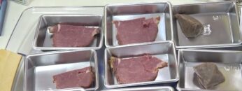 [DIET & BEAUTY FAIR 2021] サラダジビエ「BEAUT MEAT」 - 古座川ジビエ 山の光工房