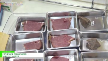 [DIET & BEAUTY FAIR 2021] サラダジビエ「BEAUT MEAT」 - 古座川ジビエ 山の光工房