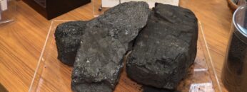 [農業week 2021] 農業week 2021 ライフイン ブースのご紹介  - ライフイン株式会社