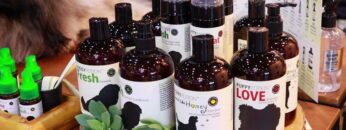 [Pet Expo Thailand 2021] Christmas Magic - Doggy Portion